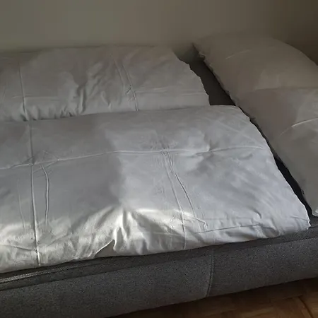 Borse לאנגנלויס